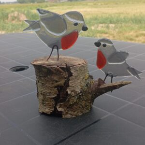 2 roodborstjes op berkenstam